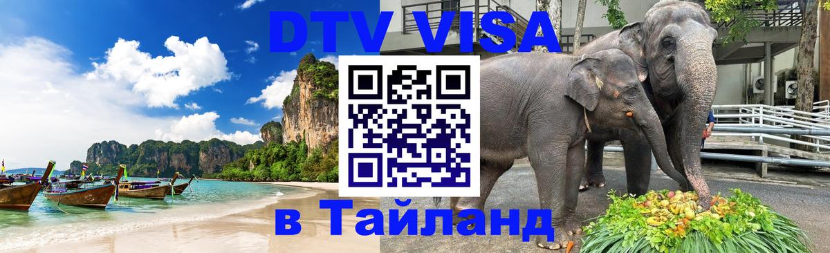 Оформление DTV визы под ключ: стоимость и тарифы, только загранпаспорт - Белгород 